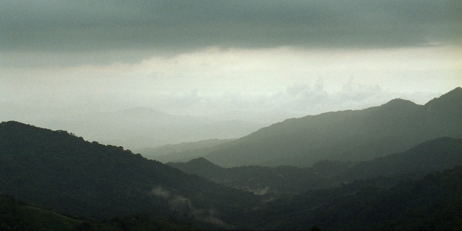 Traducir lo propio (o el síntoma por recordar)